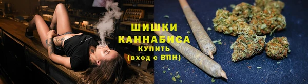 шишки Бронницы