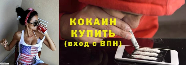 шишки Бронницы
