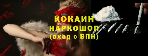 шишки Бронницы