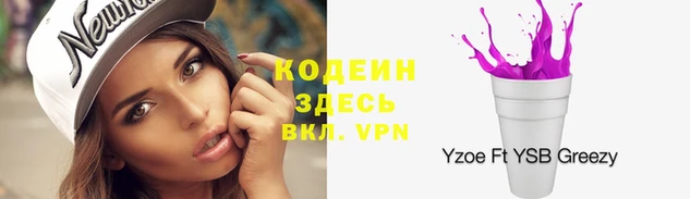 шишки Бронницы