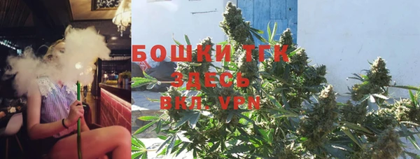 тгк Бородино