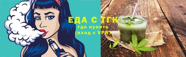 тгк Бородино