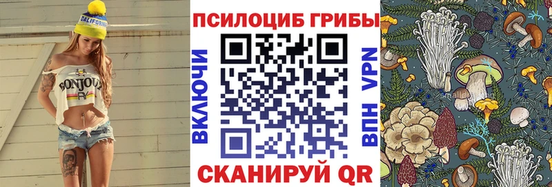 продажа наркотиков  Курчатов  Галлюциногенные грибы мицелий 