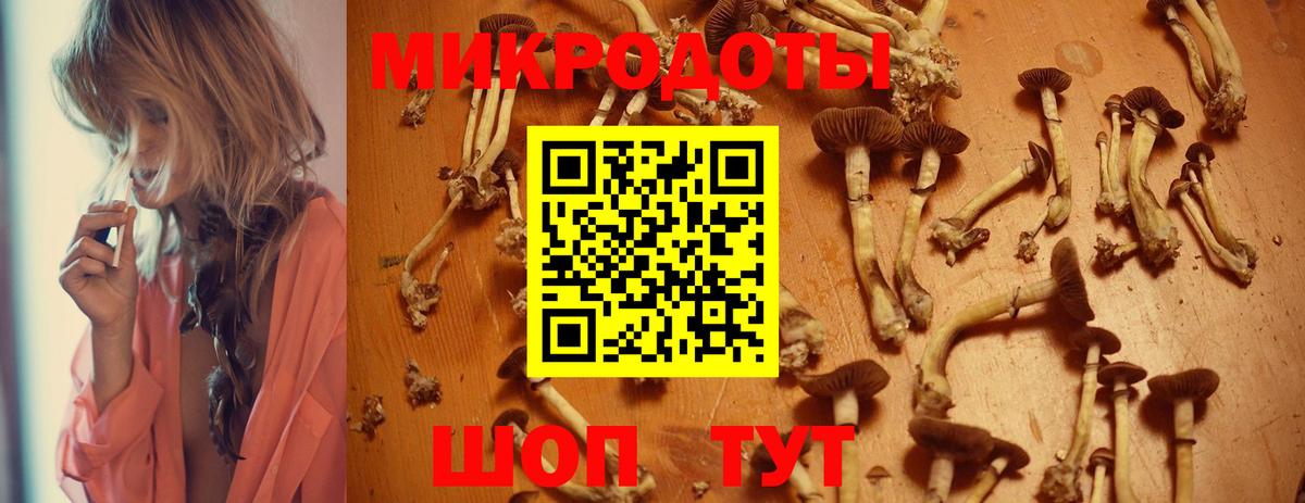 Псилоцибиновые грибы Psilocybine cubensis  Вход с VPN  Курчатов 